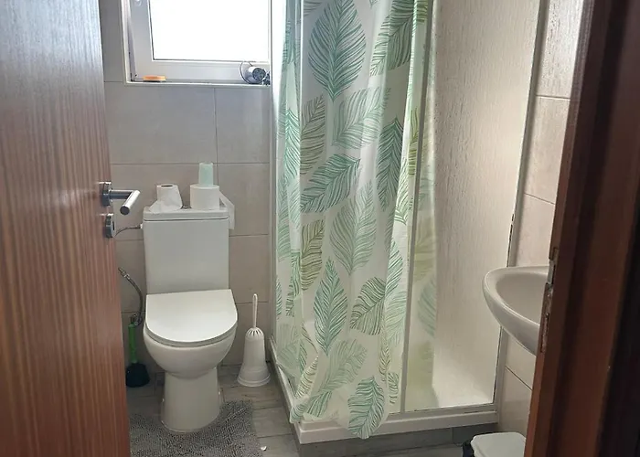 Micaelense 蓬塔德尔加达